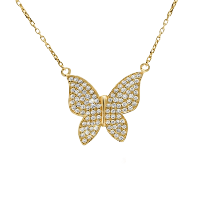 PN00305-REP